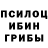 Галлюциногенные грибы Psilocybe Press Jim