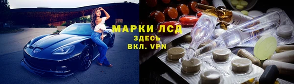 PSILOCYBIN Дмитриев