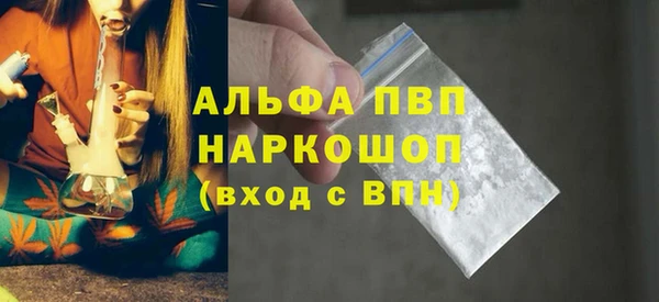 PSILOCYBIN Дмитриев
