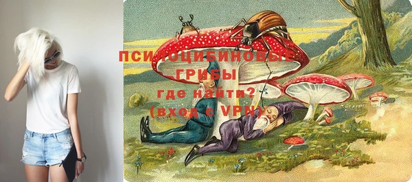 гидропоника Дмитровск