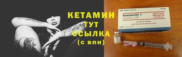 PSILOCYBIN Дмитриев