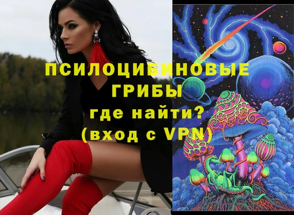 PSILOCYBIN Дмитриев