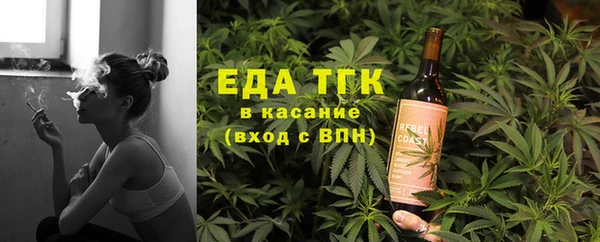 PSILOCYBIN Дмитриев