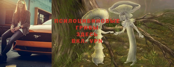 PSILOCYBIN Дмитриев