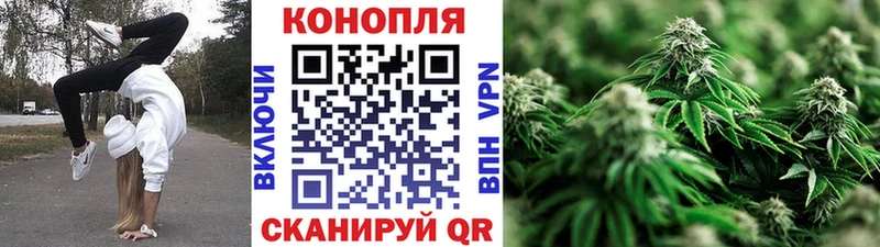 Марихуана гибрид Купить где Тамбов